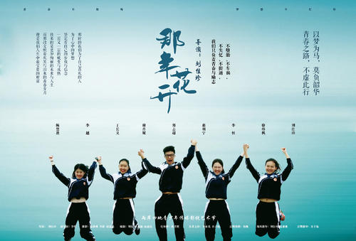 南澳大学 Diploma